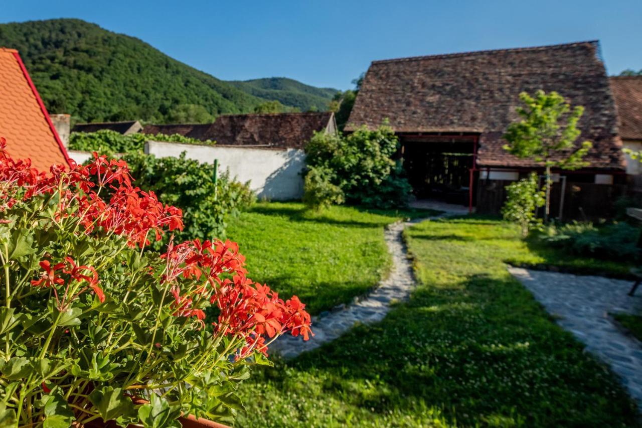 Casa Paulini Lejlighed Cisnădioara Eksteriør billede